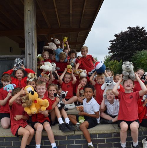 Year 2 Teddy Bears Picnic