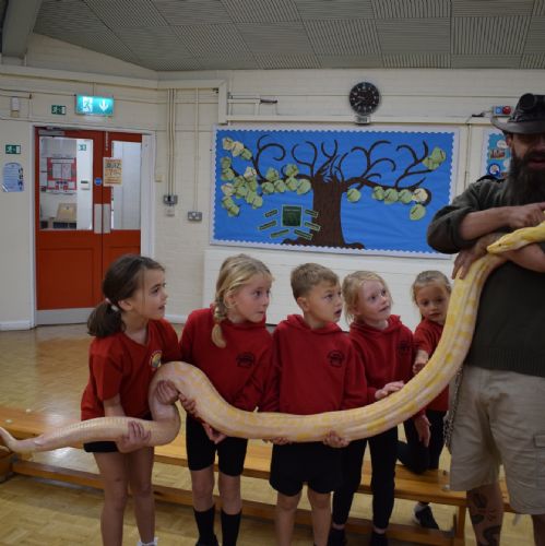 Year 1 Reptile visit